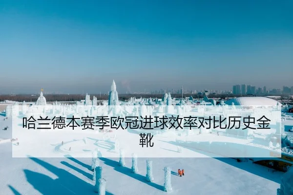 哈兰德本赛季欧冠进球效率对比历史金靴